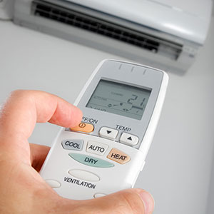 CLIM-300X300